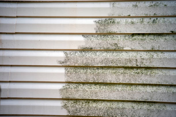Best Construction Debris Removal  in Bawcomville, LA